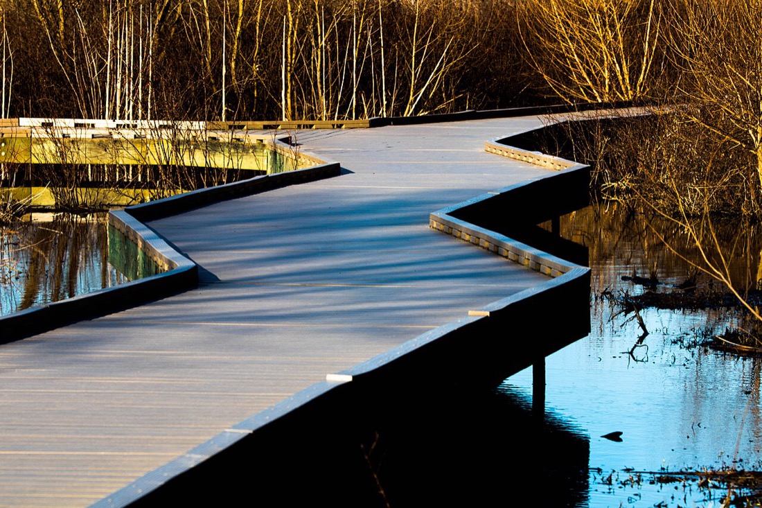 A boardwalk winding across the marsh at Huntley Meadows Park in Fairfax County, Virginia